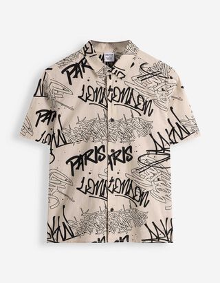 Ko&scaron;ile - Vzhled lnu - B&eacute;žov&aacute;