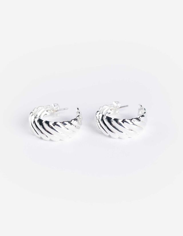 Oorbellen - Roestvrijstaal - zilver