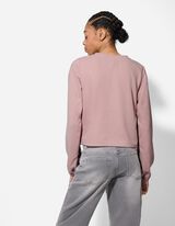 Okrasni biseri - vijolicna