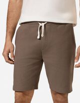 Short - Coupe Regular Fit - Brun