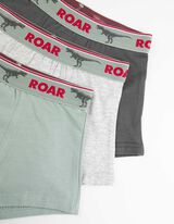 Slip da uomo - Confezione da 3 pezzi