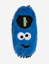 Domácí obuv - Sezamová ulice - modra