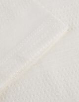 T-shirt - Tinta unita - bianco