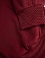 Bliuzonas - Užtrauktukas - tamsiai raudonas