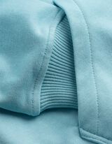 Sweatshirt - R&uuml;ckenprint - hellblau