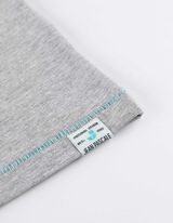 T-s&auml;rk - motiiv - hall