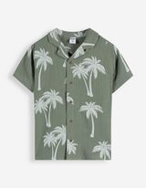 Ko&scaron;ile - Mu&scaron;el&iacute;n - tmave zelena