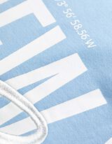Sweatshirt - Rückenprint - hellblau