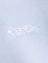 Sweatshirt - Troyer - lichtblauw