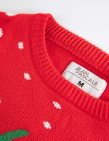 Strickpullover - Christmas - rot