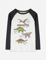 Marškinėliai ilgomis rankovėmis - Su dinozaurų piešiniais - sviesiai pilkas