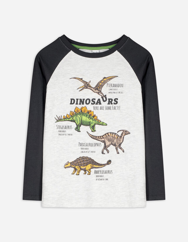 Marškinėliai ilgomis rankovėmis - Su dinozaurų piešiniais - sviesiai pilkas