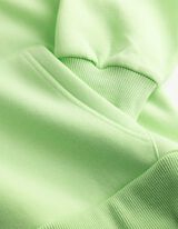 Langarmshirt - Kapuze - hellgr&uuml;n