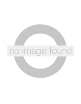 Missing image