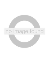 Missing image
